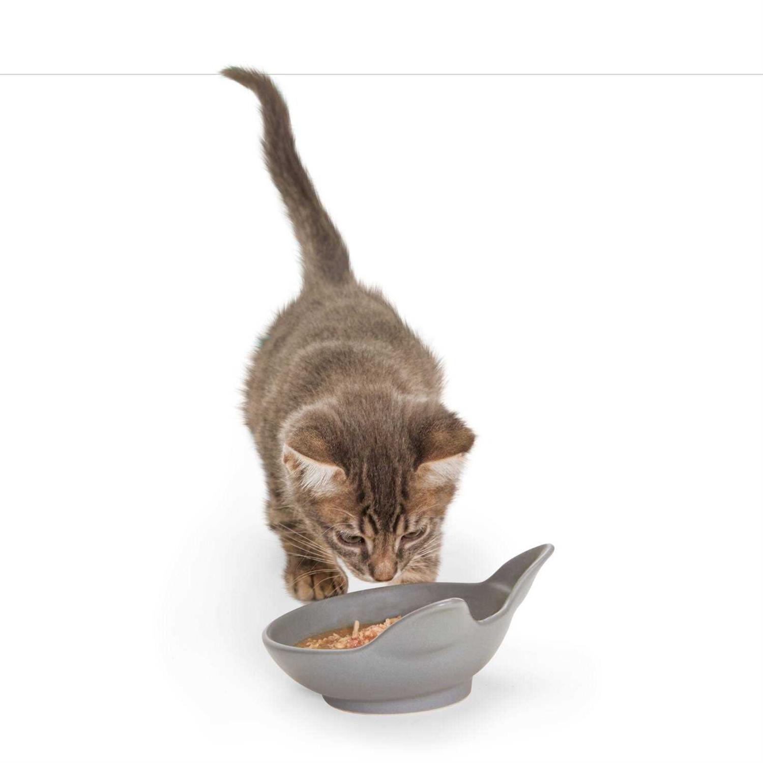 Alternative view of EveryYay Dining In Cat Head Ceramic Cat Bowl