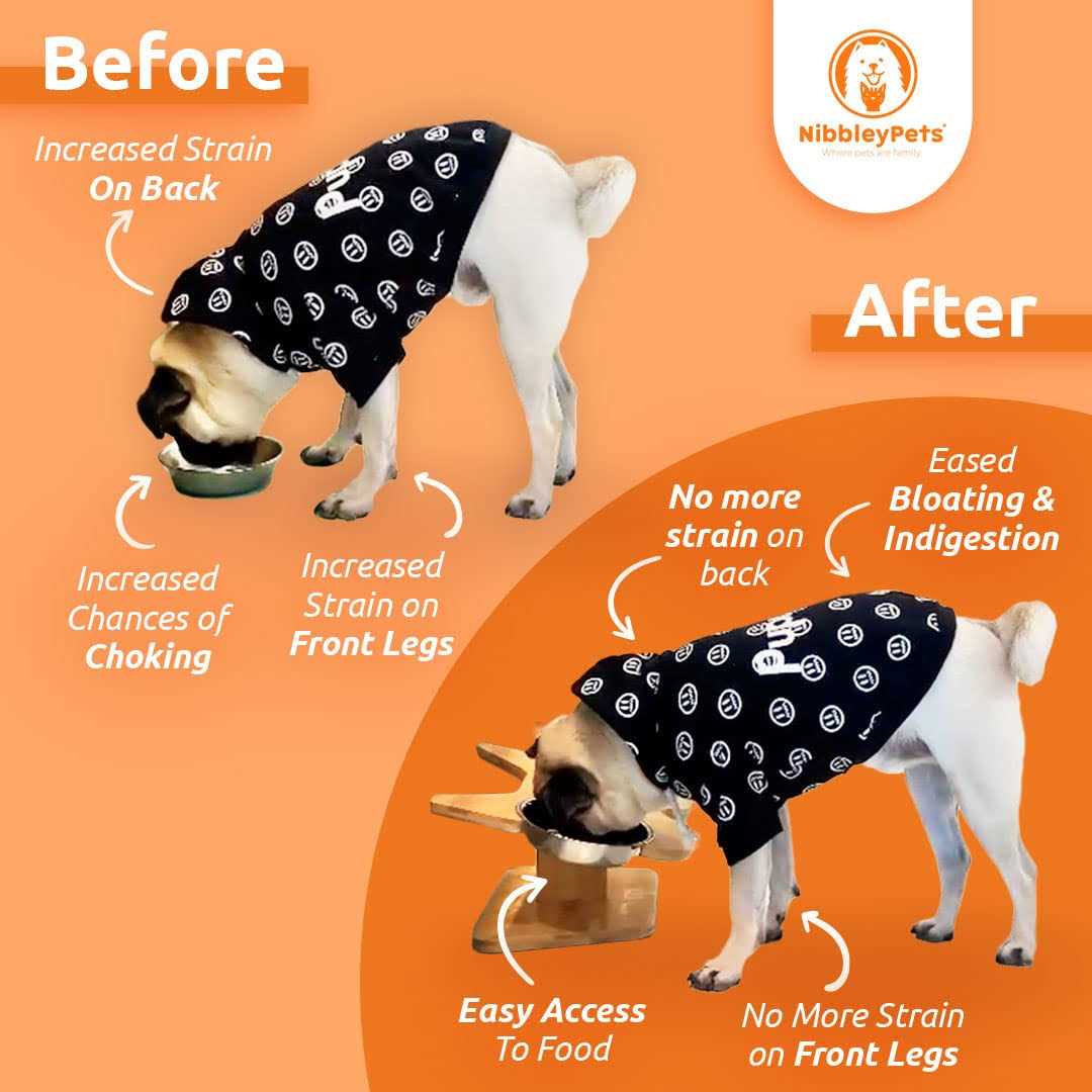 Alternative view of Nibbleypets Elevated Dog Bowl Stand with Stainless-Steel Food and Water Bowls