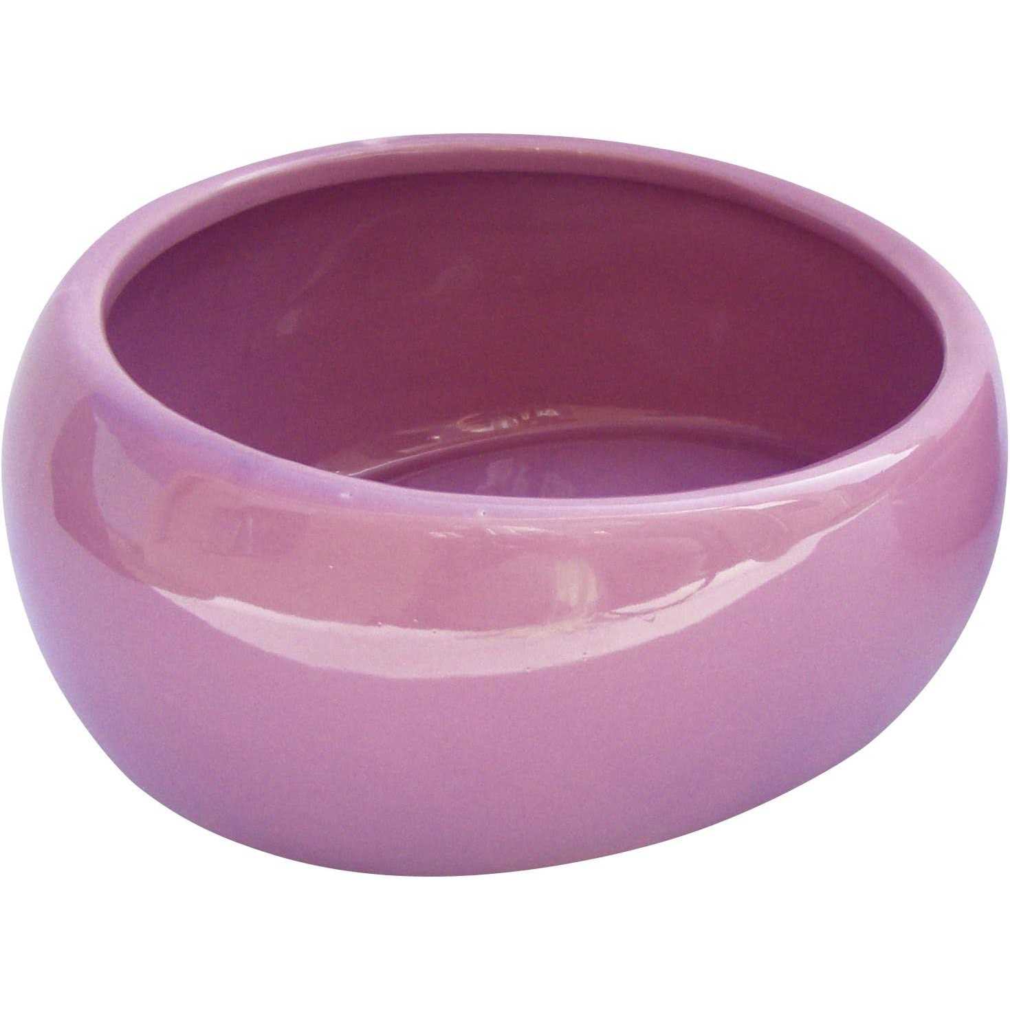 Alternative view of Ergonomic Dish Living World