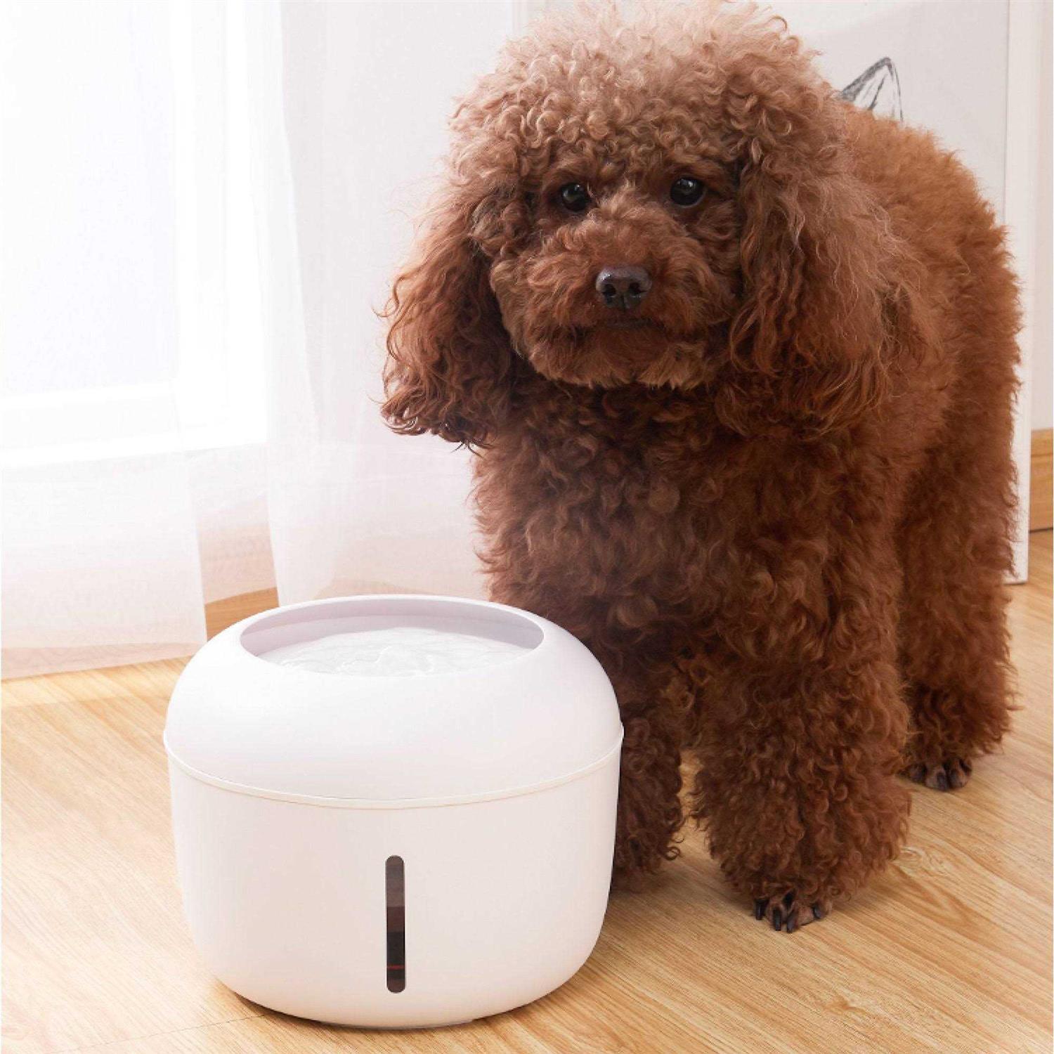 Alternative view of Pet Life Moda-Pure Ultra-Quiet Filtered Dog and Cat Fountain Waterer