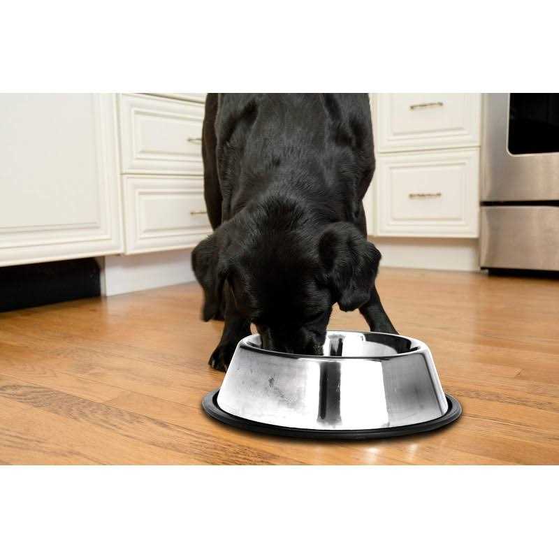 Alternative view of Iconic Pet 2 pack Stainless Steel Non-Skid Pet Bowl For Dog Or Cat