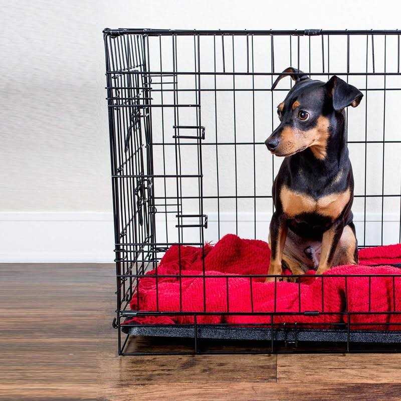 Alternative view of Paws & Pals Replacement Tray for Dog Crate Pans Medium 24 Inch Plastic Bottom Pan Floor Liners for Pet Cages Crates Kennels Dogs Cat Rabbit Ferret