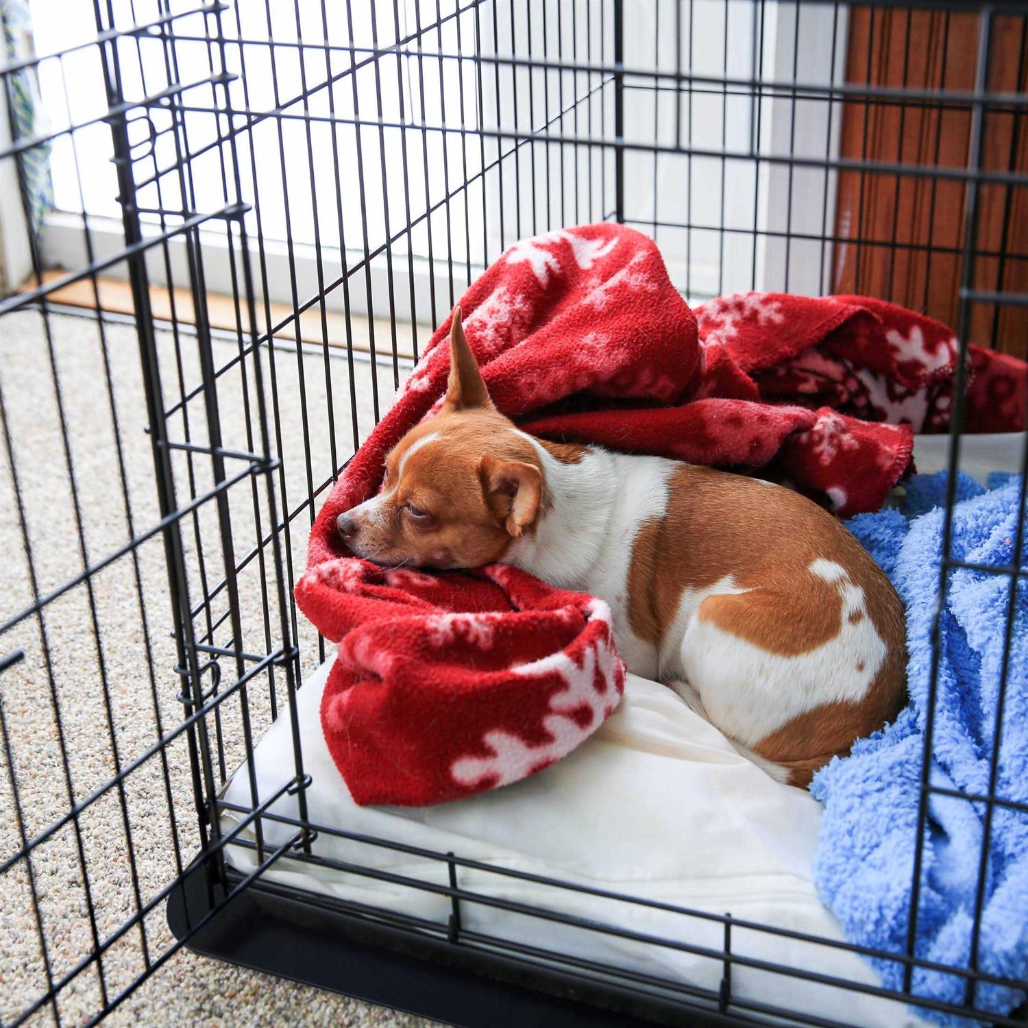 Alternative view of Floortex P-Tex Pet Crate Floor Protection Mat NCSMFLLS
