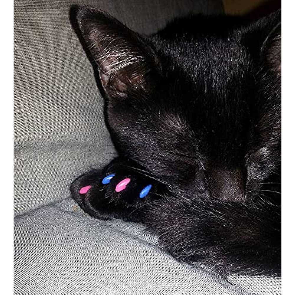 Alternative view of Purrdy Paws Soft Nail Caps for Cat Claws