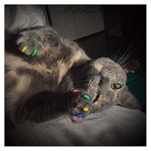 Alternative view of Purrdy Paws Soft Nail Caps for Cat Claws