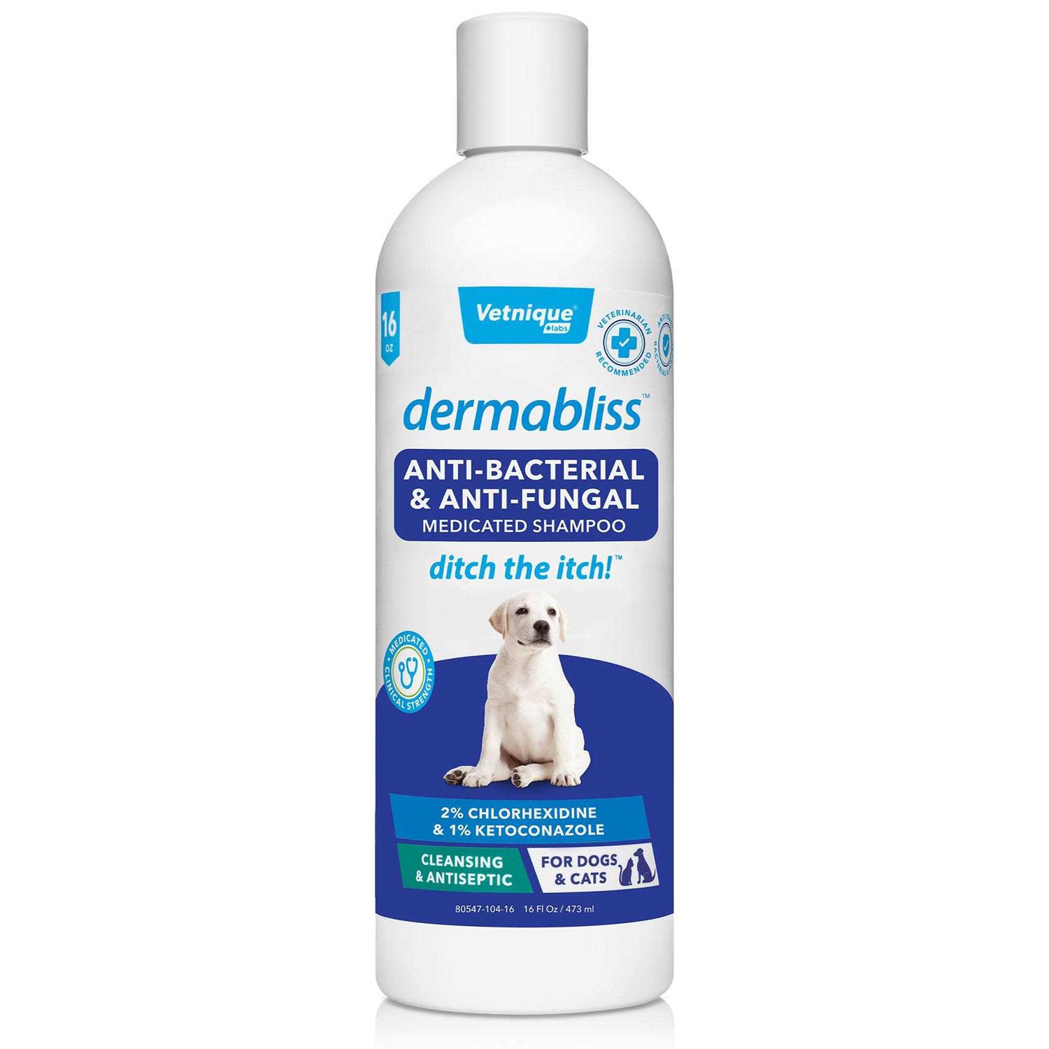 Dermabliss Anti-Bacterial & Anti-Fungal Shampoo