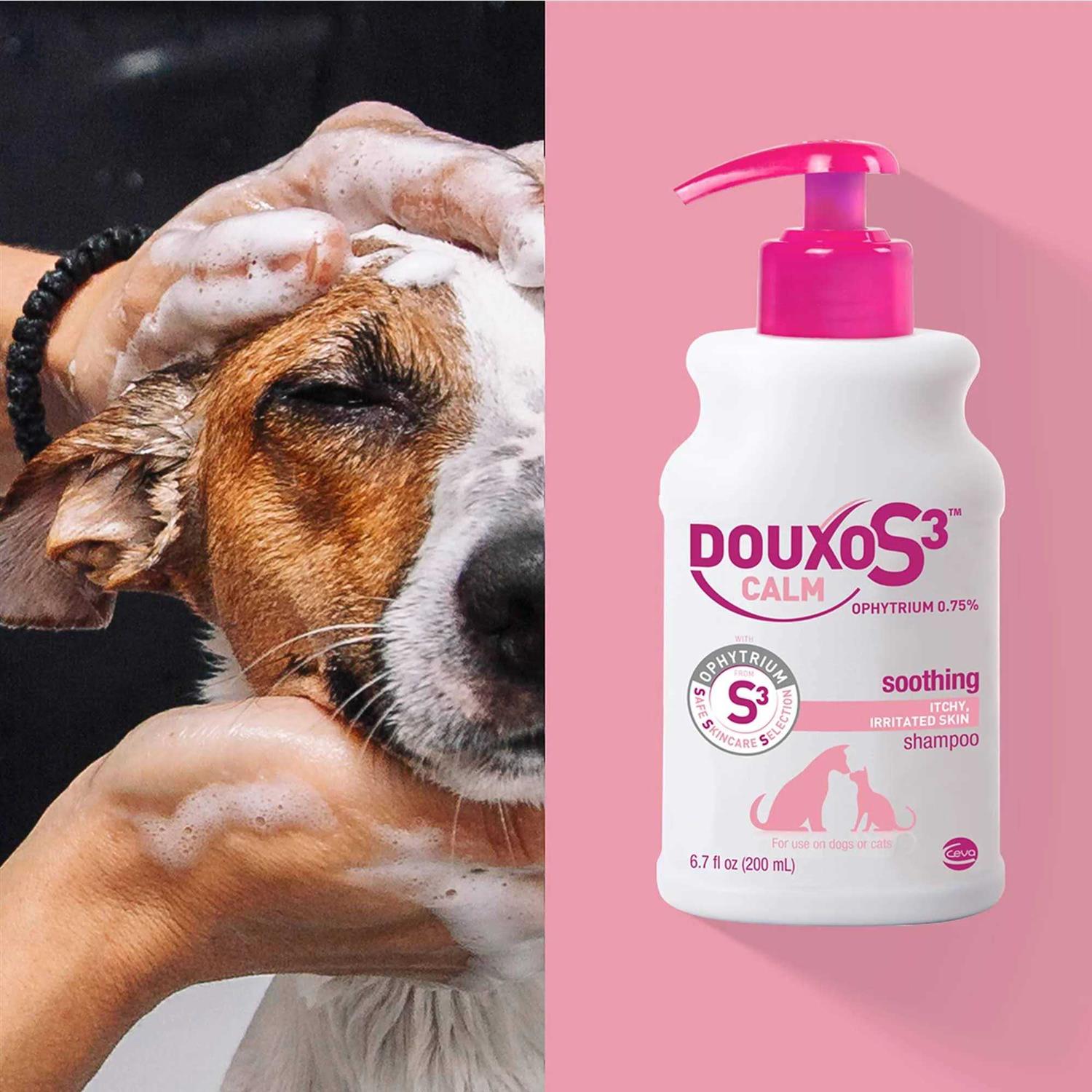 Alternative view of Douxo Calm S3 Shampoo