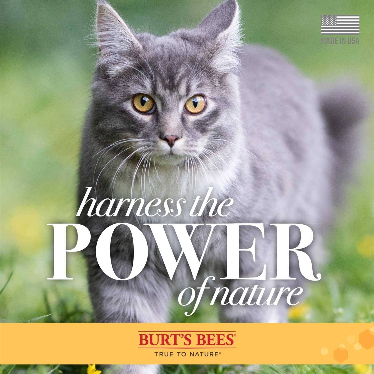 Alternative view of Burt's Bees Waterless Shampoo for Cats with Apple & Honey