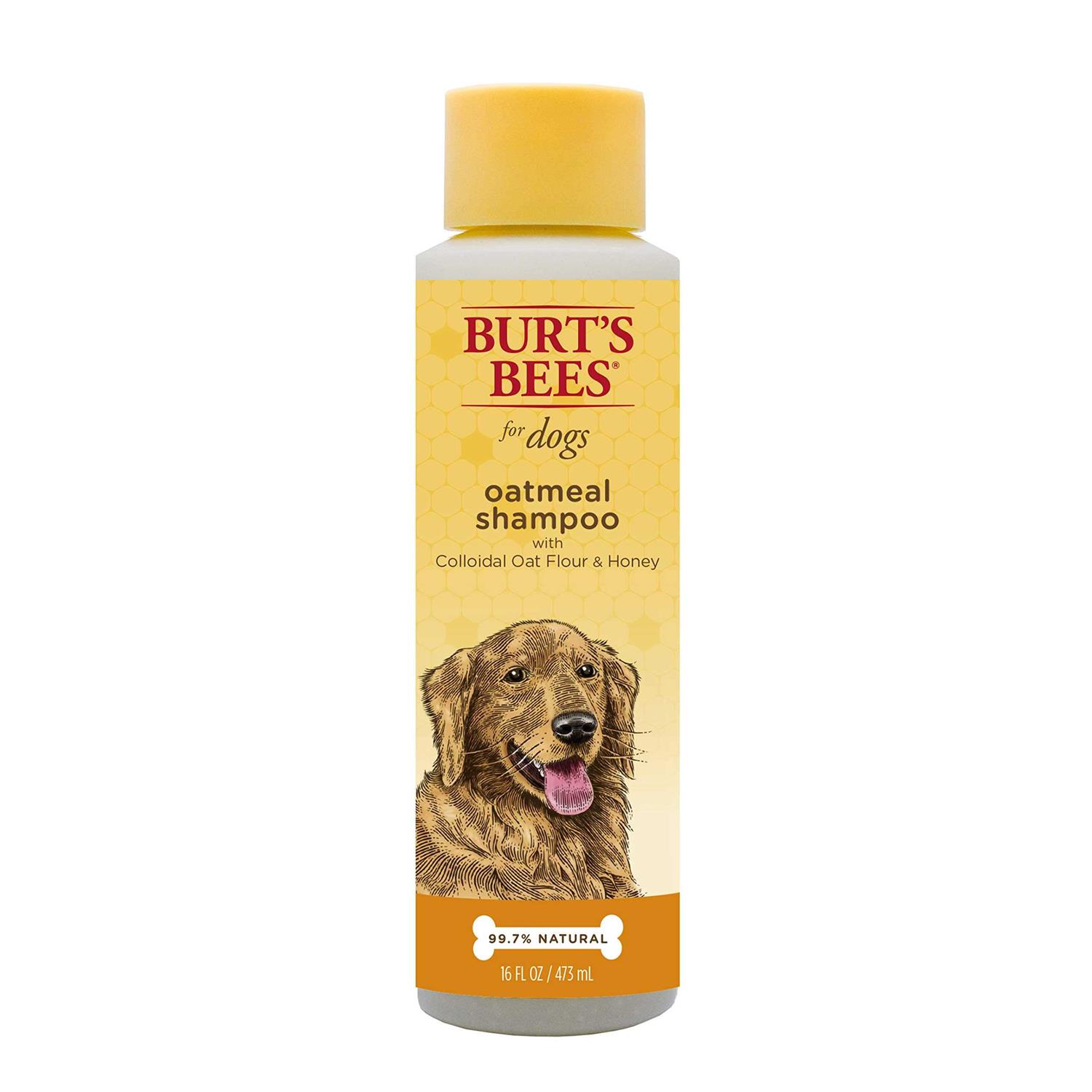 Burt's Bees Oatmeal Shampoo