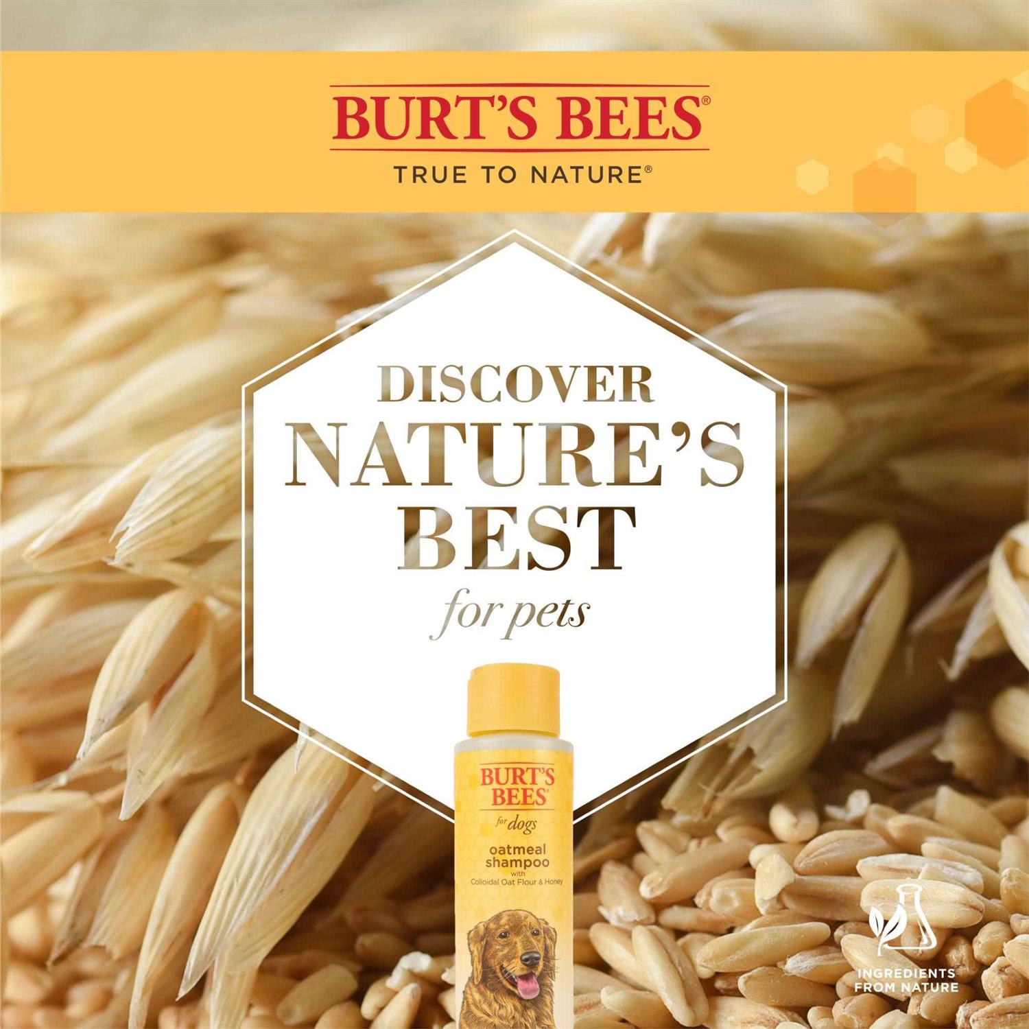 Alternative view of Burt's Bees Oatmeal Shampoo
