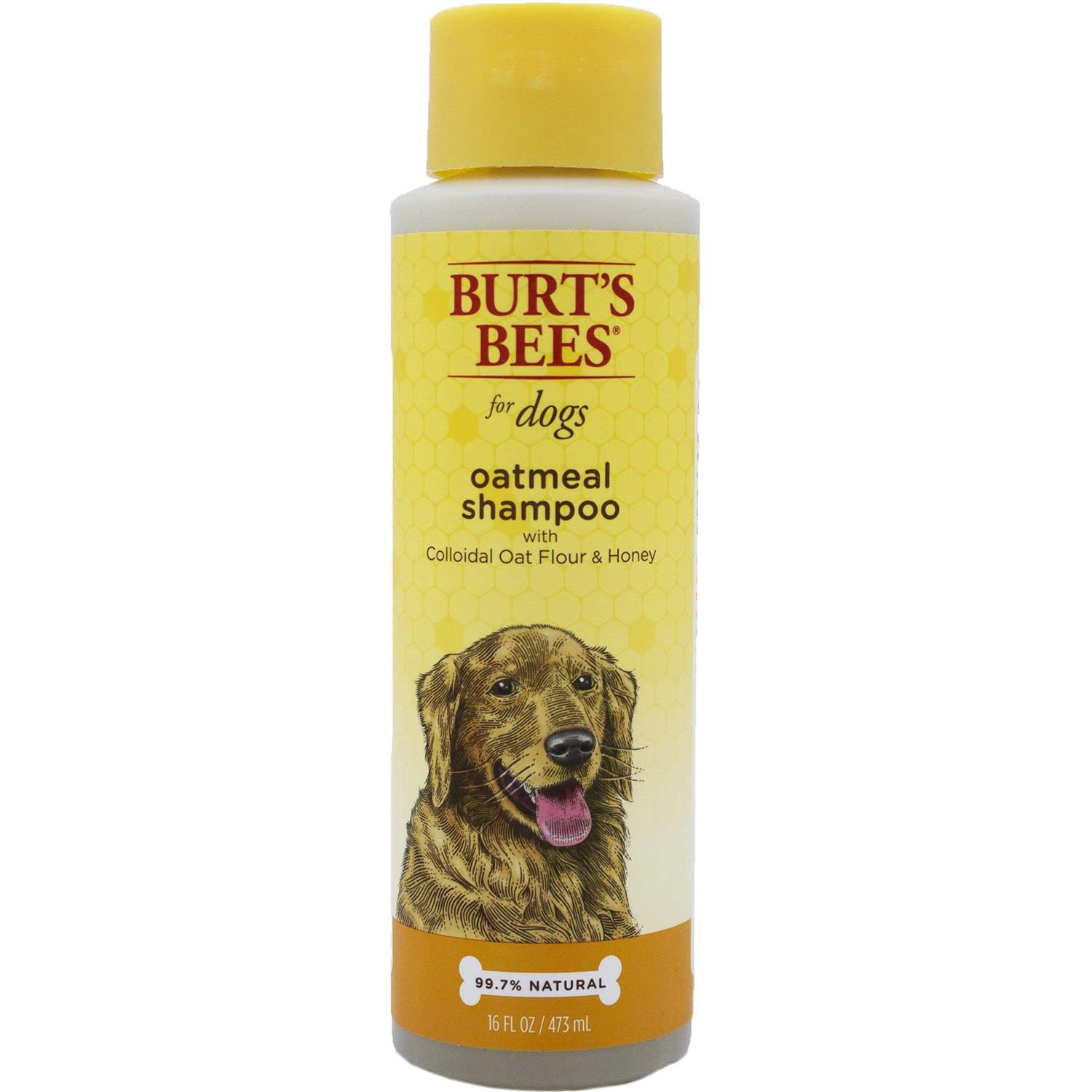 Burt's Bees Oatmeal Dog Shampoo