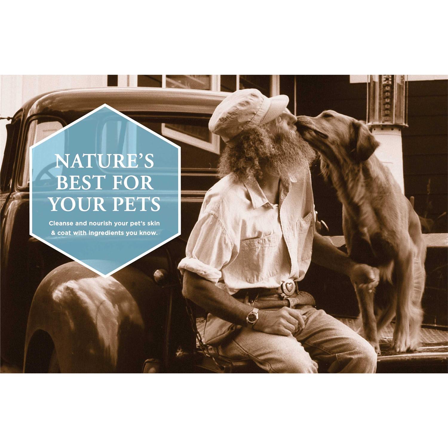 Alternative view of Burt's Bees Oatmeal Dog Shampoo