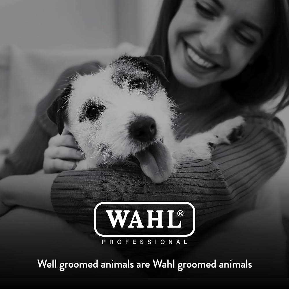Alternative view of Wahl Trimmer