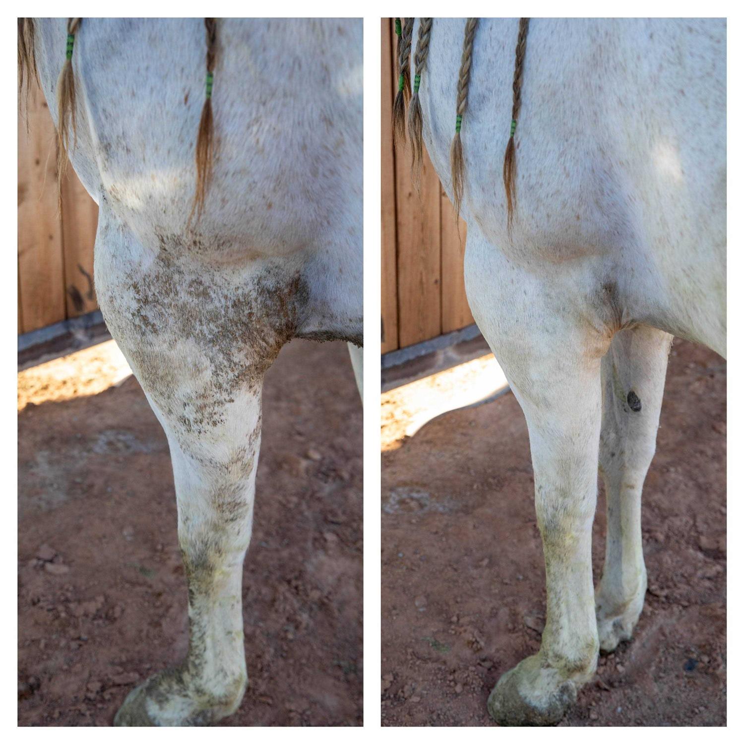 Alternative view of Biomane Grooming Tool