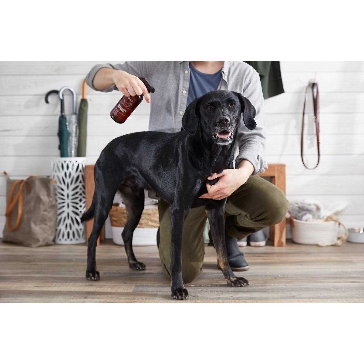 Alternative view of The Spruce Waterless Pet Wash No Rinse Moisturizing Cat & Dog Shampoo