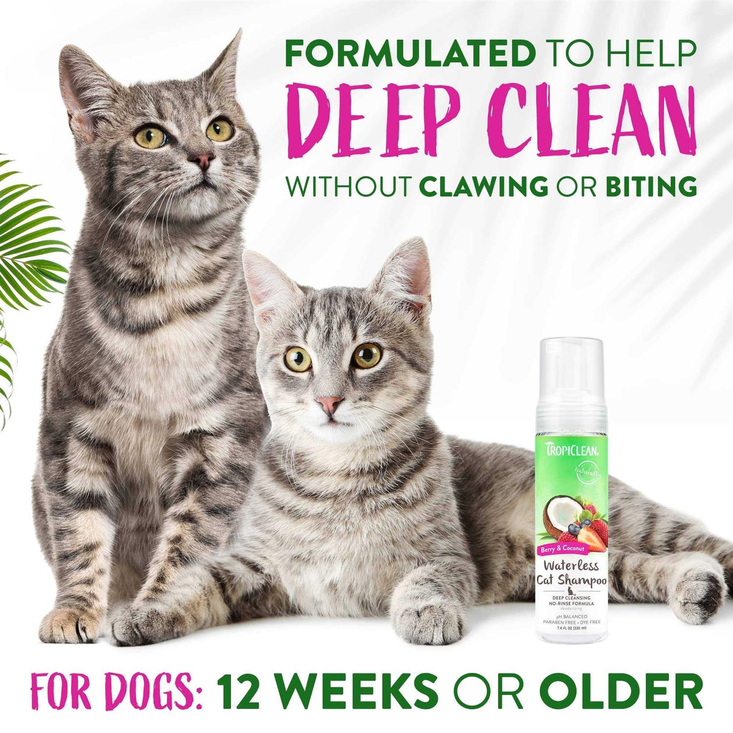 Alternative view of Tropiclean Waterless Deep Cleaning Cat Shampoo