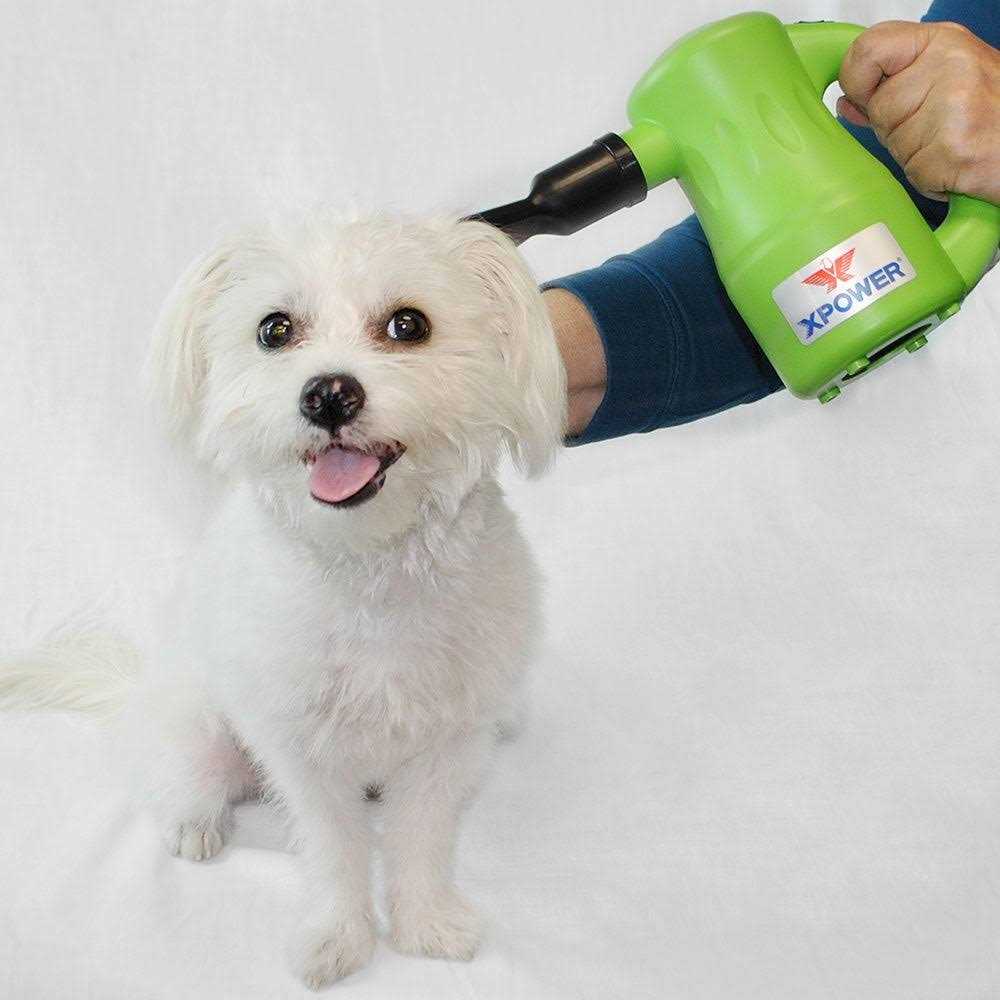 Alternative view of XPOWER Airrow Pro B-53 Multipurpose Pet Dryer