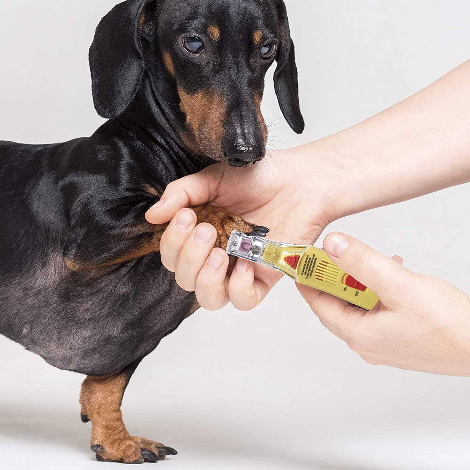 Alternative view of ConairPRO Dog Professional Nail Grinder