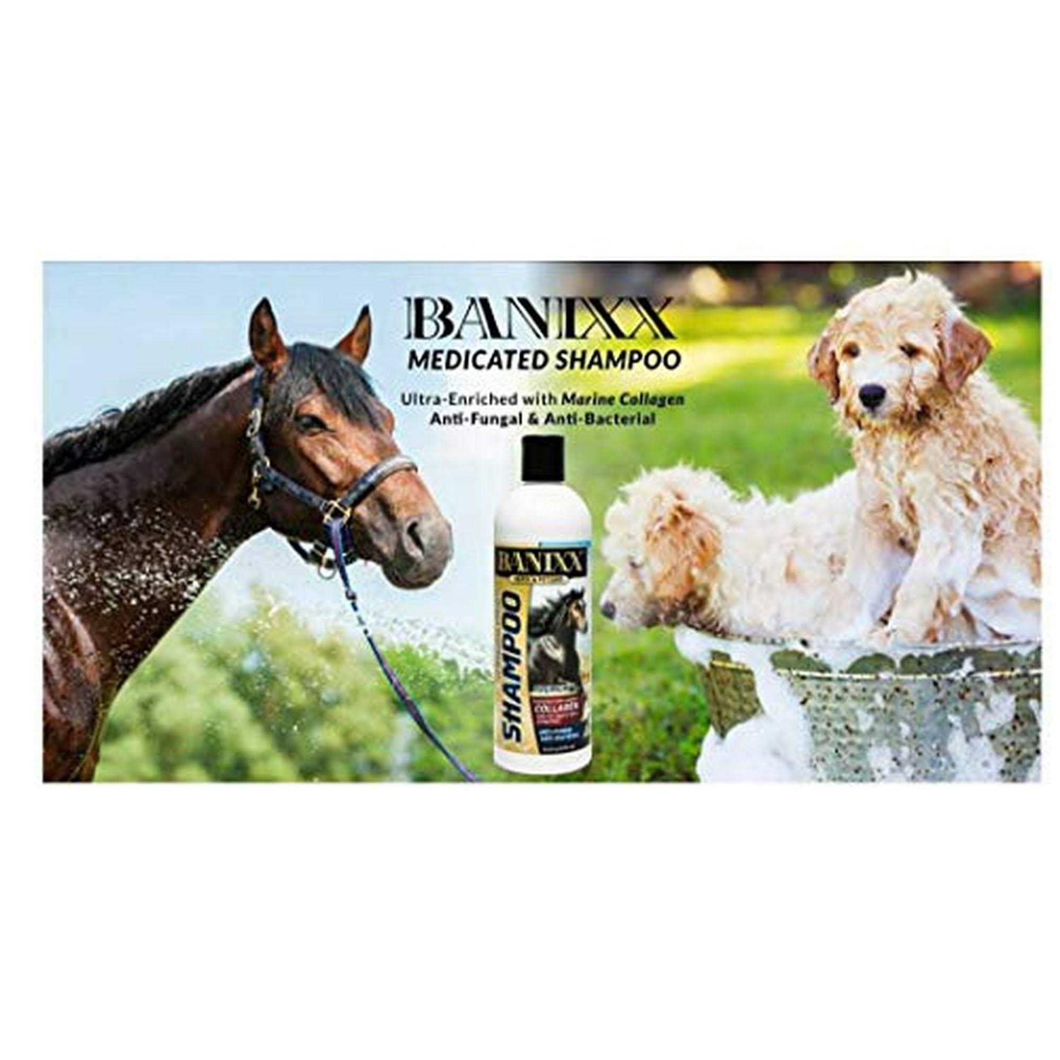 Alternative view of Banixx Medicated Shampoo