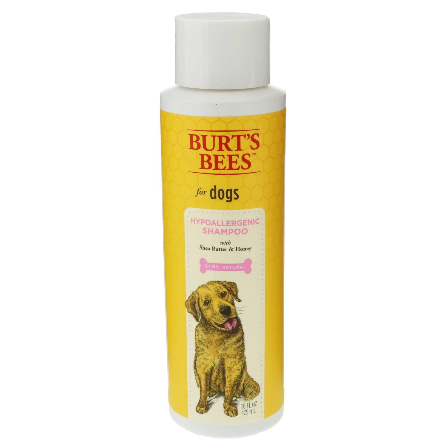 Burt's Bees Shampoo