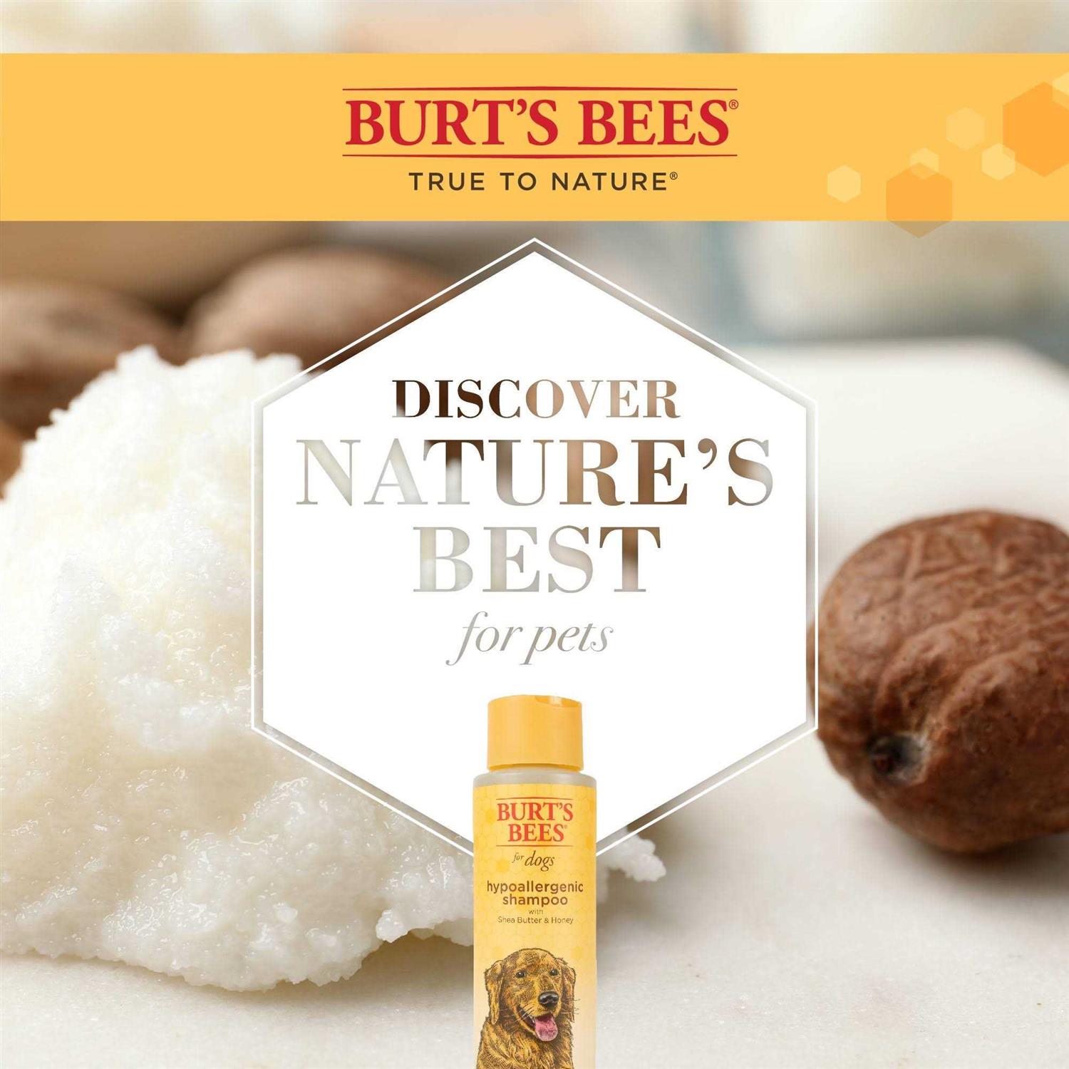 Alternative view of Burt's Bees Shampoo
