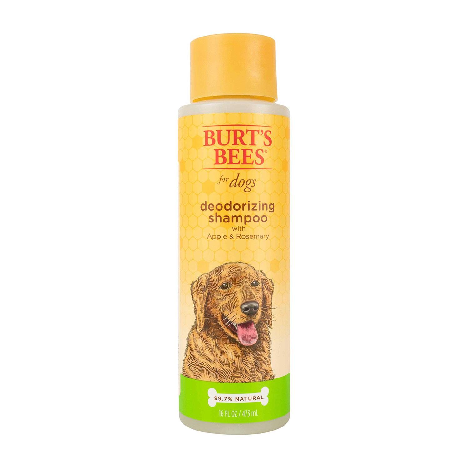 Burt's Bees Shampoo
