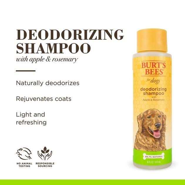 Alternative view of Burt's Bees Shampoo