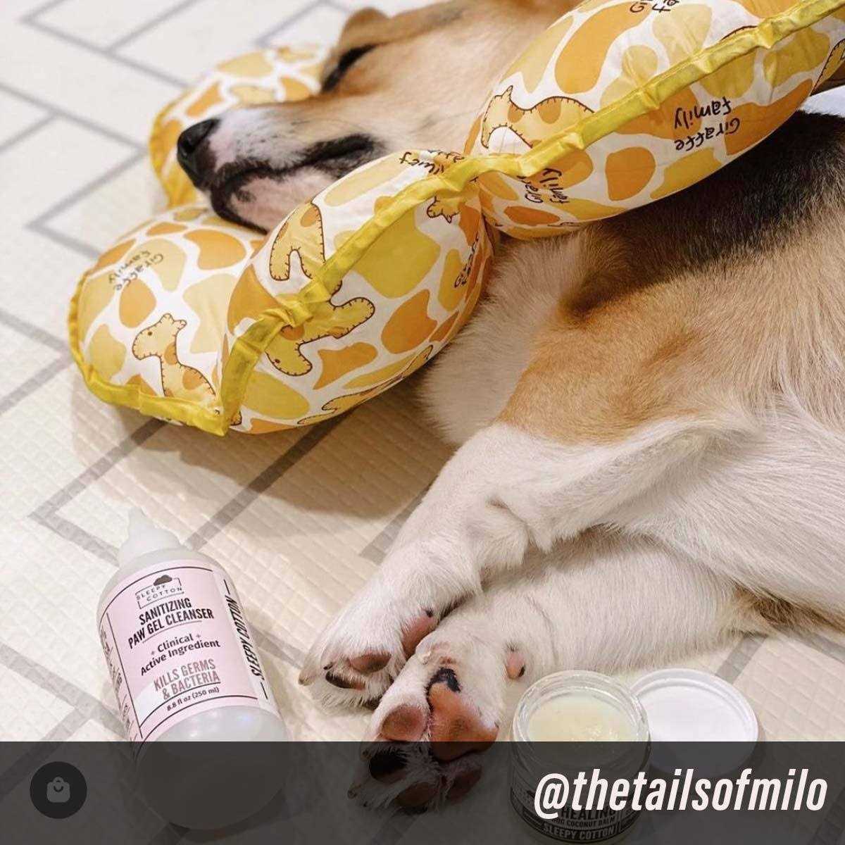 Alternative view of Put An End to Dog Paw Licking with Our Highly Effective Paw Gel Cleanser
