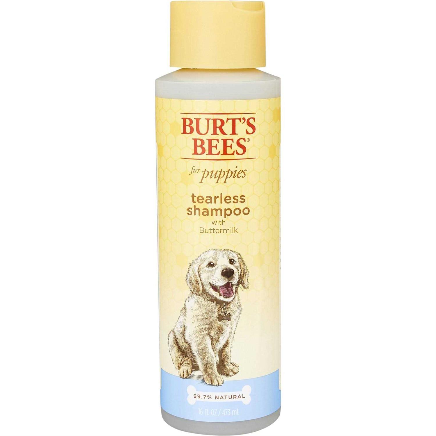 Burt's Bees Tearless Shampoo with Buttermilk
