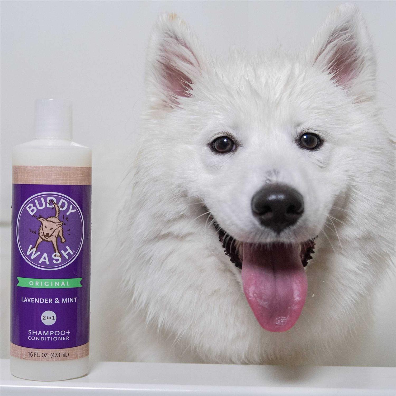 Alternative view of Cloud Star Buddy Wash Lavender & Mint Dog Shampoo & Conditioner