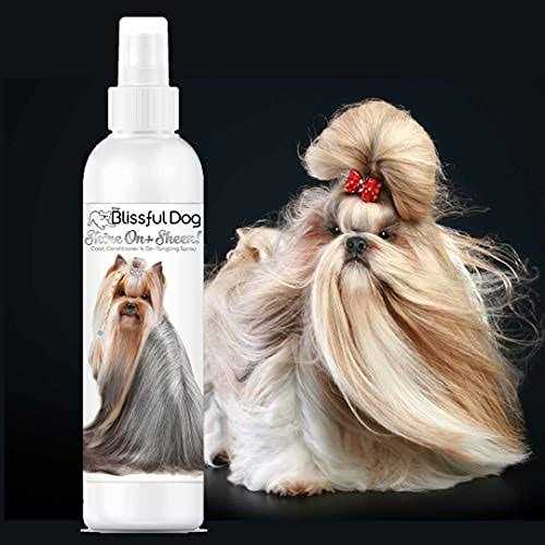 Alternative view of The Blissful Dog Shine-On + Sheen Coat Spray, All Natural, Leave-in Conditioner and Coat Detangler for Your Dog