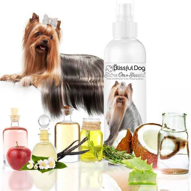Alternative view of The Blissful Dog Shine-On + Sheen Coat Spray, All Natural, Leave-in Conditioner and Coat Detangler for Your Dog