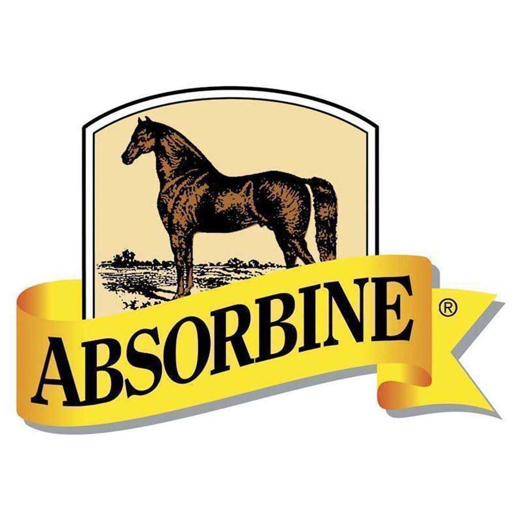 Alternative view of Absorbine ShowSheen Hair Polish & Detangler