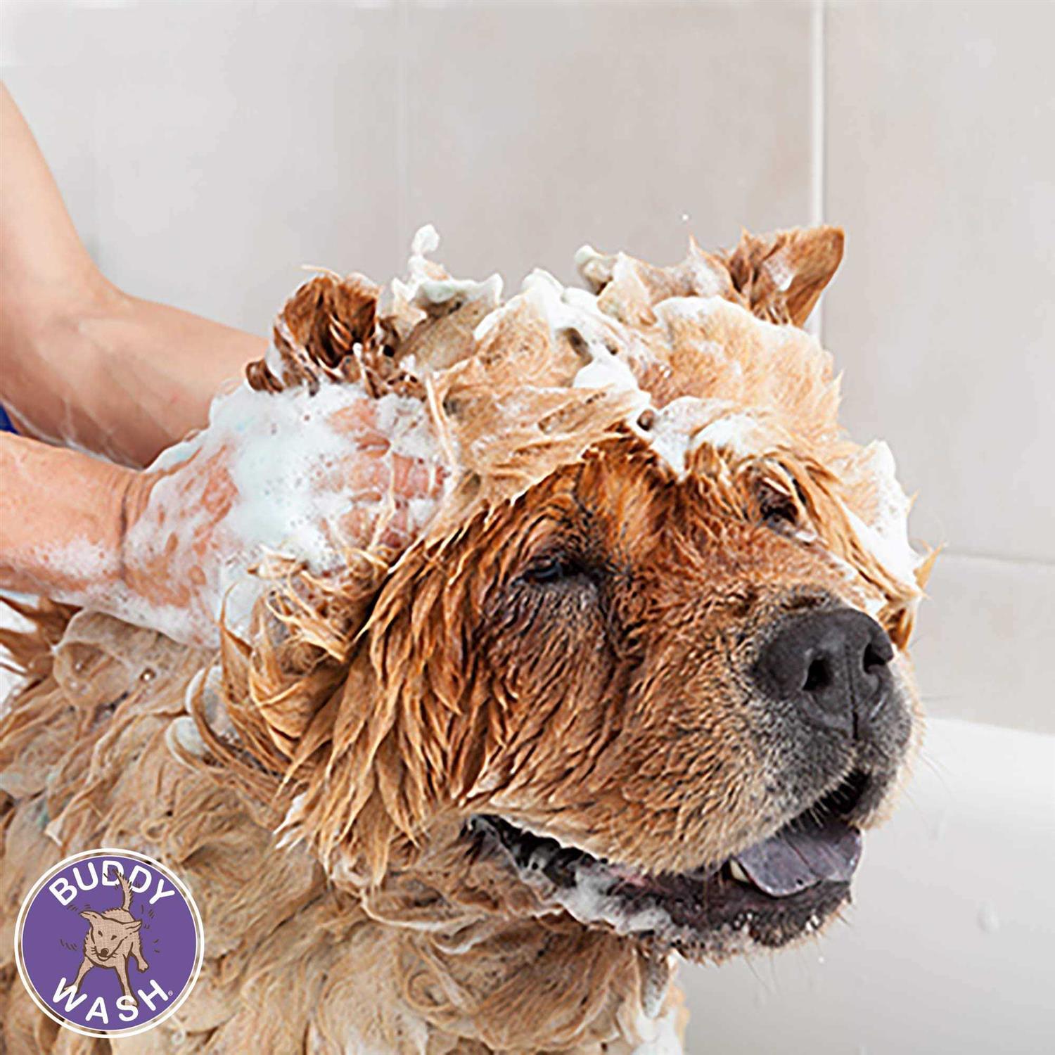 Alternative view of Cloud Star Buddy Wash Dog Shampoo & Conditioner