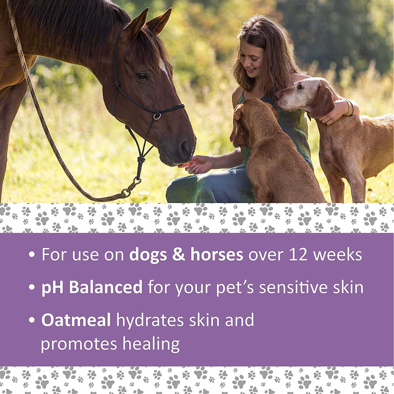 Alternative view of Veterinary Formula Clinical Care Antiparasitic Antiseborrheic Shampoo