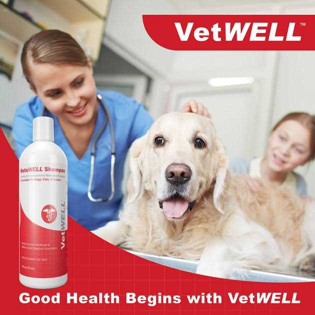 Alternative view of VetWELL KetoWell Antiseptic Dog Cat & Horse Shampoo