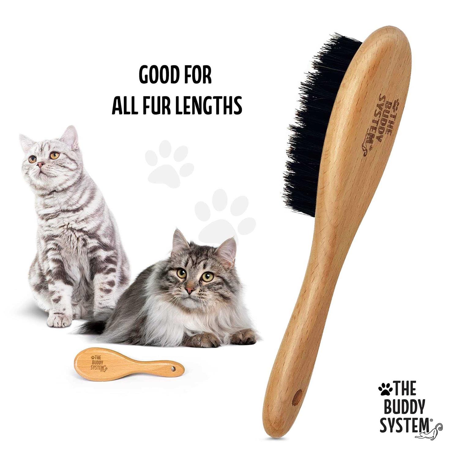 Alternative view of The Buddy System Cat Brush with Boar Bristle and Wooden Handle, Professional Grade Daily Grooming Hairbrush, Reduce Shedding, Soft Hair and Healthy