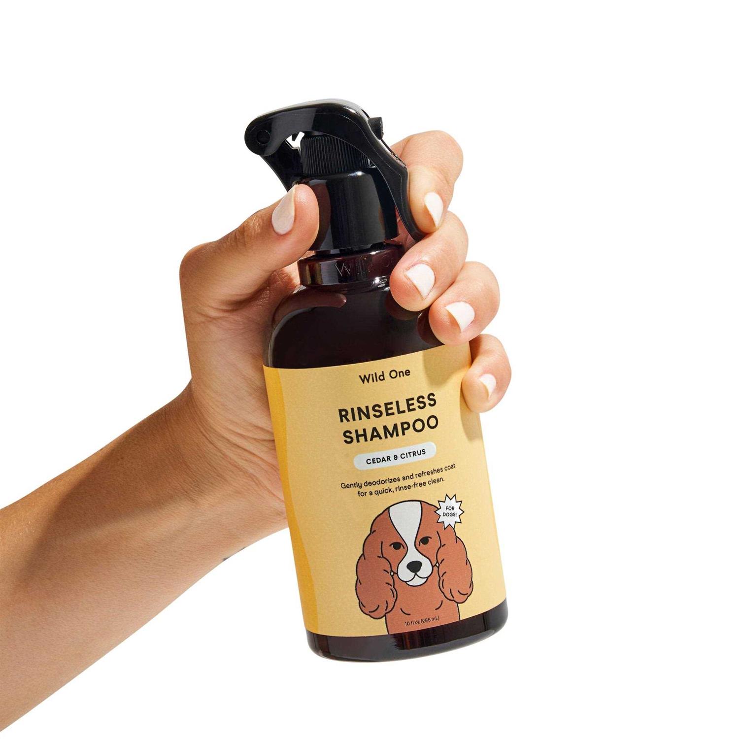 Alternative view of Wild One Rinseless Shampoo