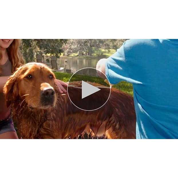 Alternative view of Burt's Bees Oatmeal Conditioner for Dogs with Colloidal Oat Flour & Honey