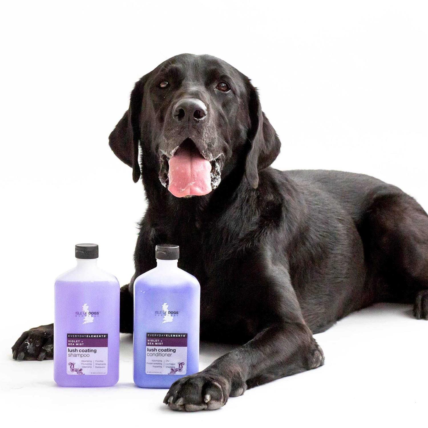 Alternative view of Isle of Dogs Everyday Violet & Sea Mist Lush Coating Shampoo For Dogs