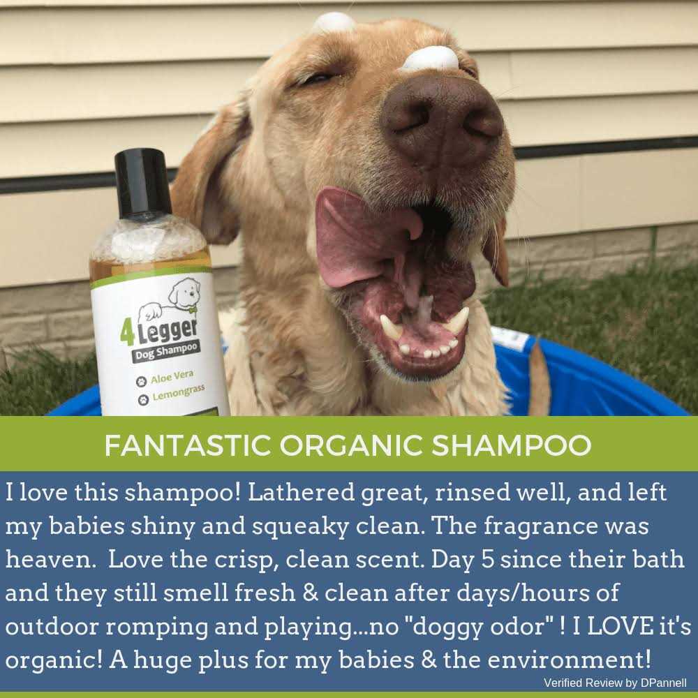Alternative view of 4-Legger Hypoallergenic Dog Shampoo with Organic Lemongrass