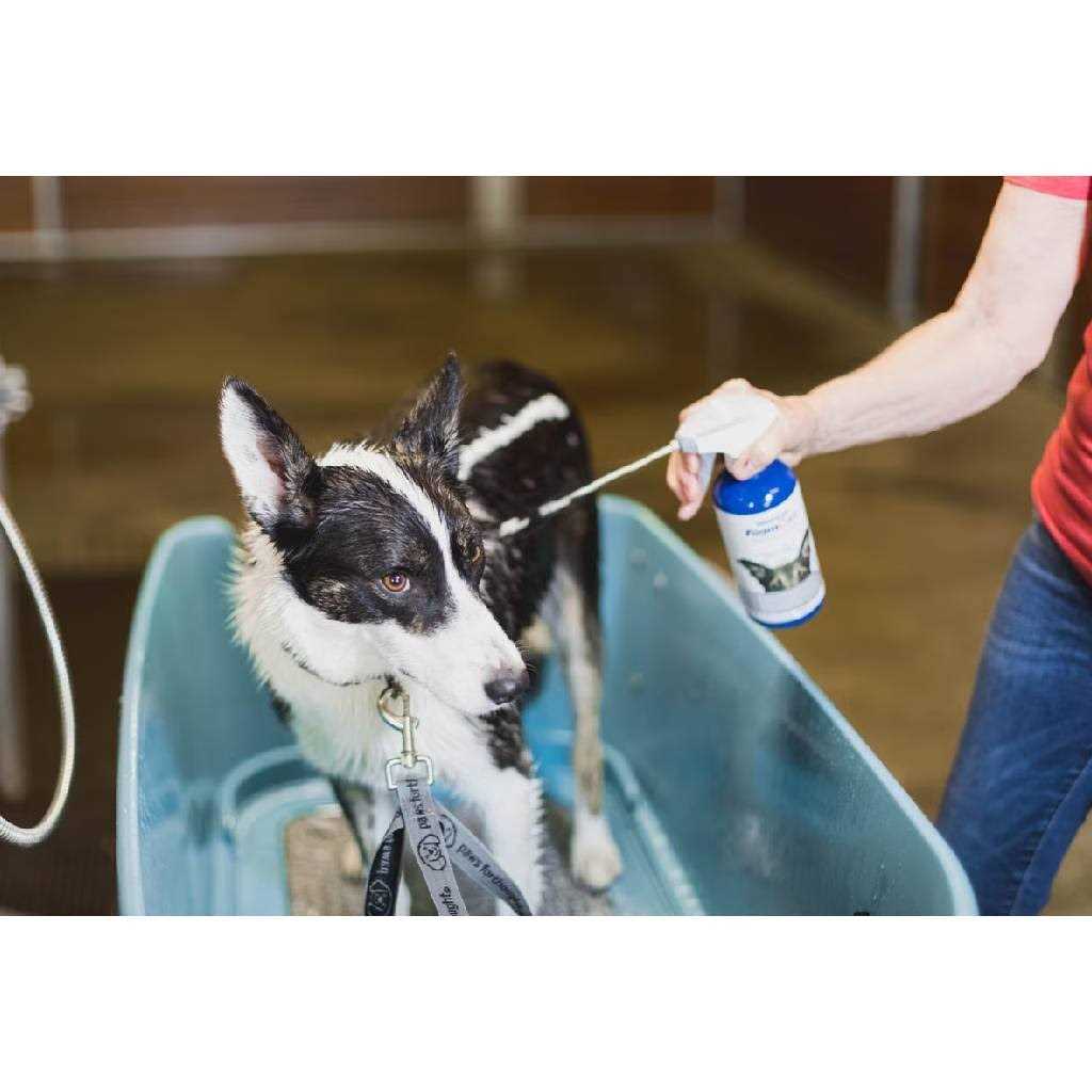 Alternative view of Vetericyn FoamCare Medicated Pet Shampoo