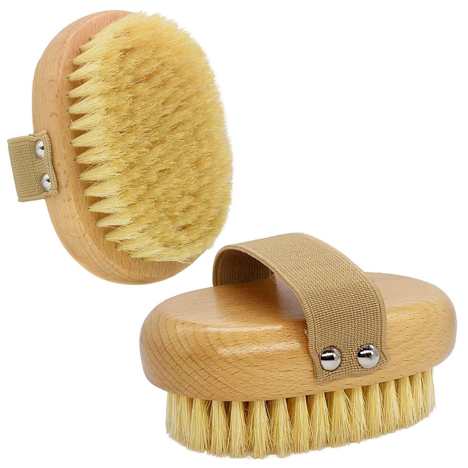 casidoxi soft bristle dog brush for short haired cats dogs with elastic band