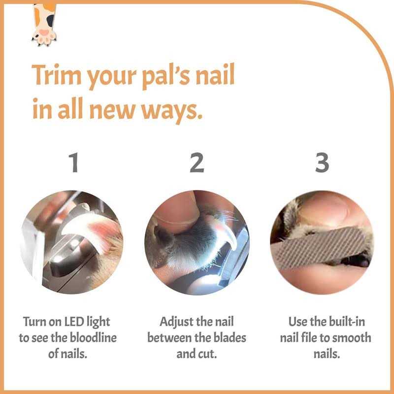 Alternative view of Pawsibility Reinvented Pet Nail Clippers for Your Pal Ultra Bright LED Light for Bloodline