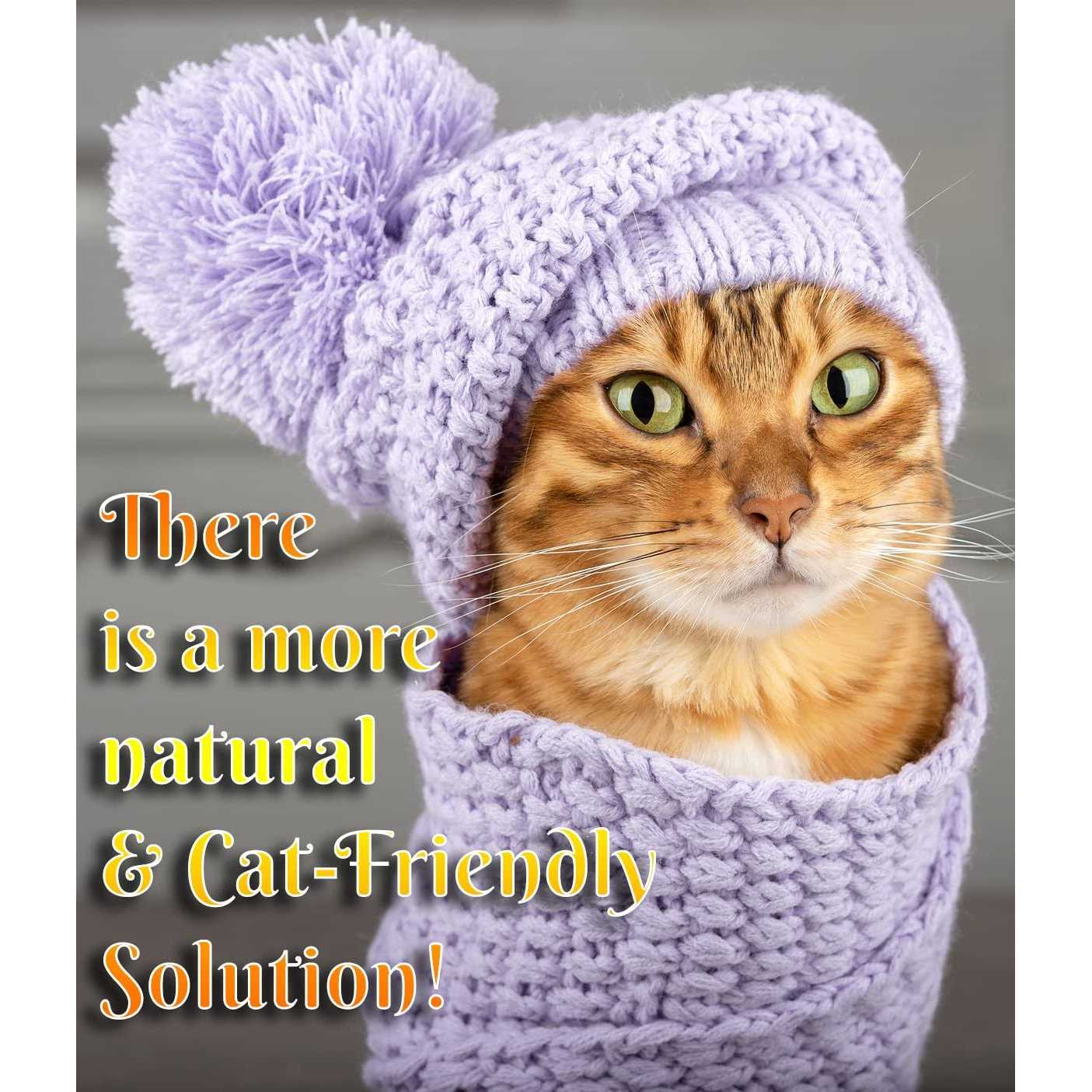 Alternative view of Pet MasterMind Fluffy Feline Cat Dandruff Care Spray