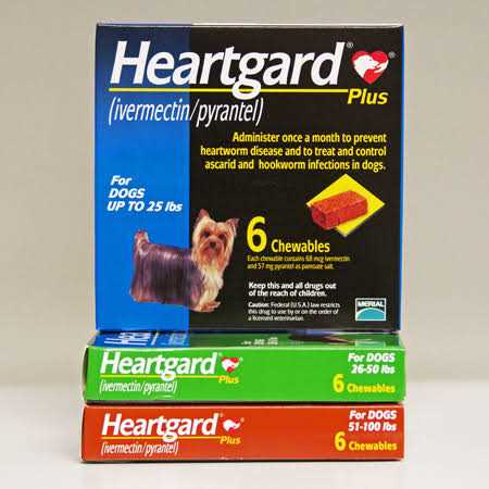 Alternative view of Heartgard Plus Chewables for Dogs
