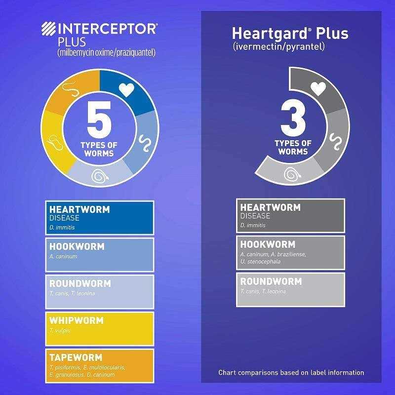Alternative view of Interceptor Plus for Dogs