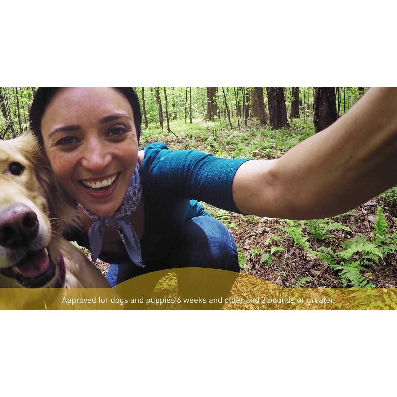Alternative view of Interceptor Plus for Dogs
