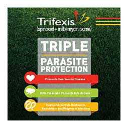 Alternative view of Trifexis for Dogs