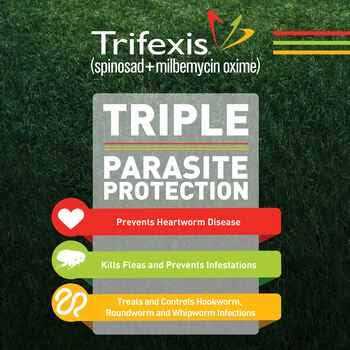 Alternative view of Trifexis for Dogs